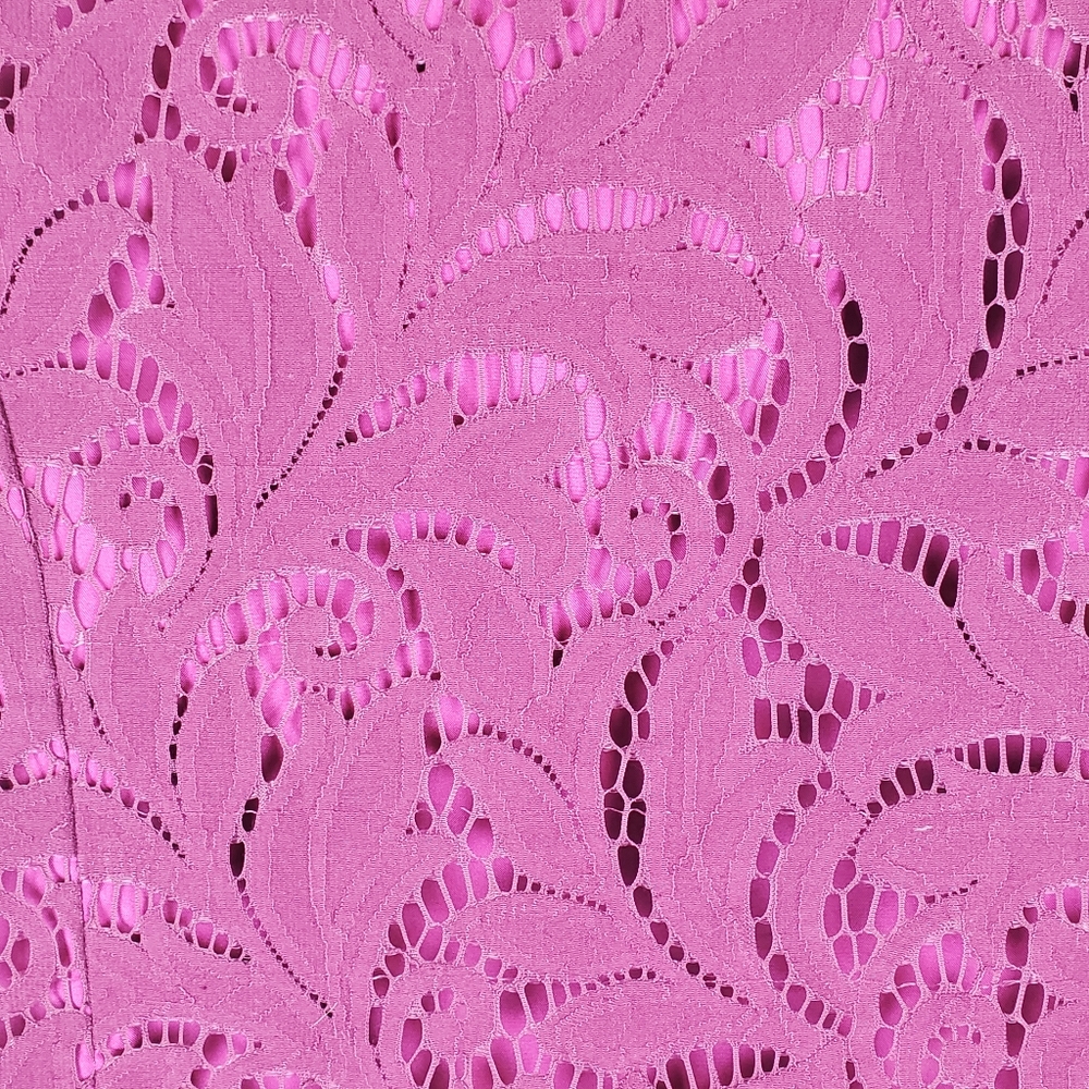 CAbi Frolic Plumberry Lace Jacket - Picture 3 of 7